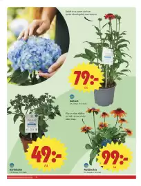 ICA Nära reklamblad vecka 36 Sida 10