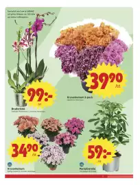 ICA Nära reklamblad vecka 36 Sida 11