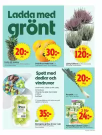 ICA Supermarket reklamblad vecka 36 Sida 5