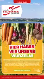 PENNY Prospekt woche 36 Seite 24