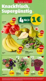 PENNY Prospekt woche 36 Seite 4
