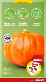 PENNY Prospekt woche 36 Seite 41