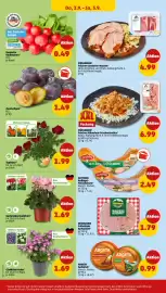 PENNY Prospekt woche 36 Seite 42