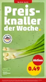 PENNY Prospekt woche 36 Seite 6