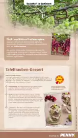 PENNY Prospekt woche 36 Seite 9