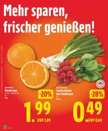 Edeka DE folder week 36 Pagina 6