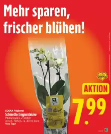Edeka DE folder week 36 Pagina 7
