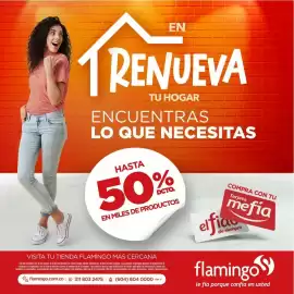Catálogo Flamingo Página 1: Flamingo productos de hogar