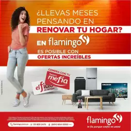 Catálogo Flamingo Página 2