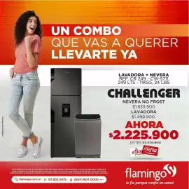 Catálogo Flamingo Página 3: Challenger lavadora + nevera €2.225.900,00