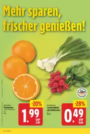 NP Discount Prospekt Seite 2