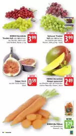 E-Center Prospekt Seite 12