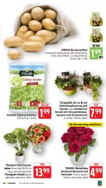 E-Center Prospekt Seite 13