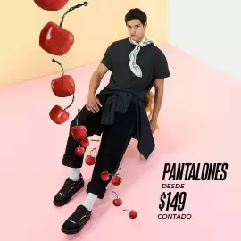 Catálogo Coppel semana 36 Página 2