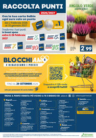 Volantino SeBón Supermercati Pagina 12: Calluna vulgaris DM 12 €2,99, Buono spesa €10,00