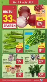 Aldi Nord Prospekt woche 37 Seite 3