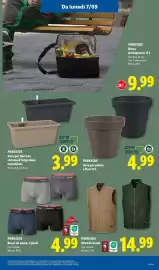 Volantino Lidl settimana 36 Pagina 35: PARKSIDE €4,99