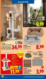 Volantino Lidl settimana 36 Pagina 38: KARLIE €9,99, ZOOFARI Cuccia per animali €8,99
