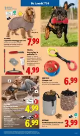 Volantino Lidl settimana 36 Pagina 39: VILEDA Accessori per la pulizia Pet Pro €4,99