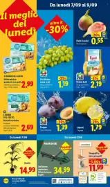 Volantino Lidl settimana 36 Pagina 46: Uva bianca senza semi €1,19, Prugne €1,39