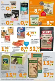 Globus Baumarkt Prospekt woche 36 Seite 13