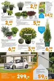 Globus Baumarkt Prospekt woche 36 Seite 5