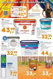 Globus Baumarkt Prospekt woche 36 Seite 9