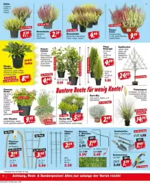Repo Markt Prospekt woche 36 Seite 14