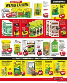 Repo Markt Prospekt woche 36 Seite 15
