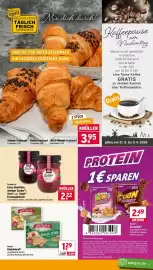 Wasgau Prospekt woche 36 Seite 13