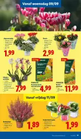 Lidl folder week 37 Pagina 17: Parkside herfst-graszaad €11,99, Heideplant €1,89