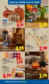 Lidl folder week 37 Pagina 23: Geurkaars in pompoenvorm €3,99, Ledlichtketting €2,99