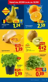 Lidl folder week 37 Pagina 3: Butternutpompoen €1,29, Rucola €0,89