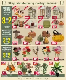 Europris kundeavis uke 36 Side 7: Alle dekorsopper og gresskar i glass/keramikk!, GEORGINE €39,90