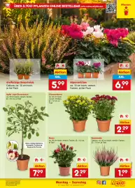 Netto Marken-Discount DE folder week 36 Pagina 15