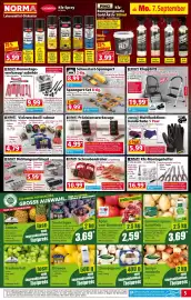 Norma Prospekt woche 37 Seite 5