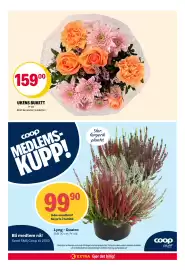 Coop Extra kundeavis uke 36 Side 26: Ukens bukett €159,00, Coop Lyng - Quatro €99,90