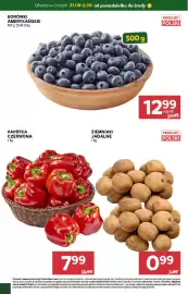 Stokrotka gazetka Strona 2