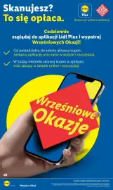 Lidl gazetka Strona 12