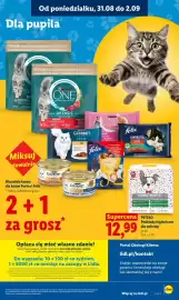 Lidl gazetka Strona 85
