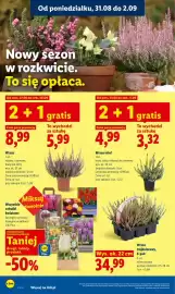 Lidl gazetka Strona 86
