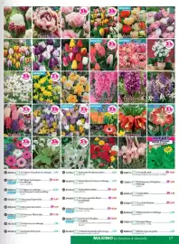 Catalogue Maximo page 17
