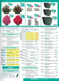 Catalogue Maximo page 89
