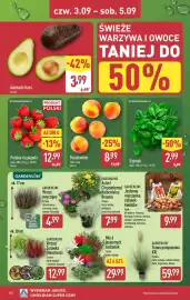 ALDI gazetka tydzień 36 Strona 40: Szpinak €2,99, Brzoskwinie €8,99
