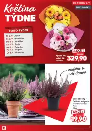 Kaufland leták týden 36 Strana 17: Kytice mix velká 1A €329,90, Vřes obecný €19,90