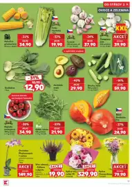 Kaufland leták týden 36 Strana 19: Orchidea Phalaenopsis €149,90, Kyrtice Chryzantémy €79,90