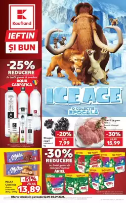 Catalog Kaufland