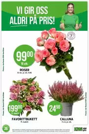 Kiwi kundeavis uke 36 Side 5: CALLUNA €24,90, ROSER €99,00