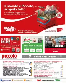 Volantino Supermercati Piccolo Pagina 24