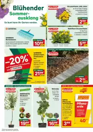 Lagerhaus Flugblatt Seite 2